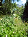 Garten_Mai_2014__28.JPG