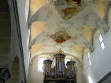 Reichenau_2014__61.JPG