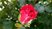 Juni_2015___057.jpg