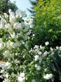 Juni_2015___117.jpg