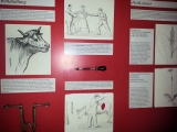 Illerbeuren__100.jpg