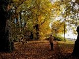 Langenargen__027.jpg