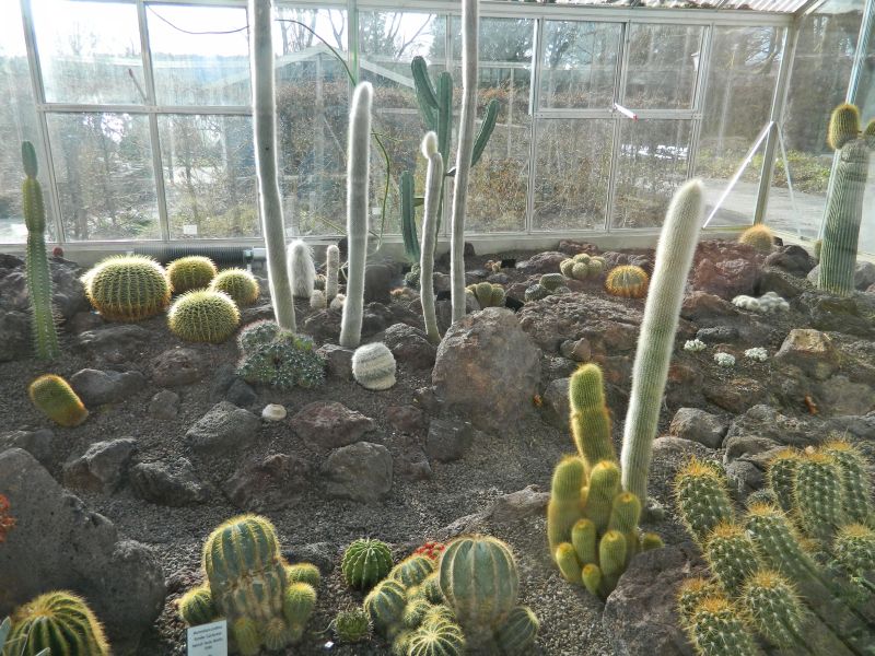 Mainau_2015__099.jpg