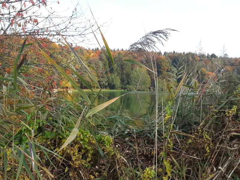 Siessen__131.jpg