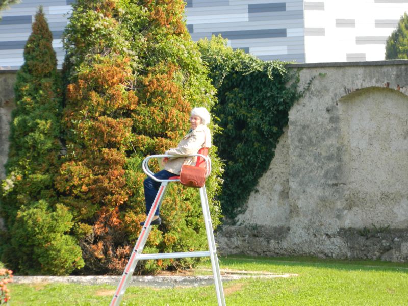 Kremsegg_37.jpg