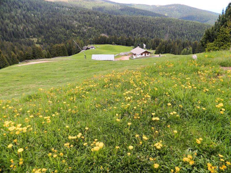 Meran2000_22.jpg