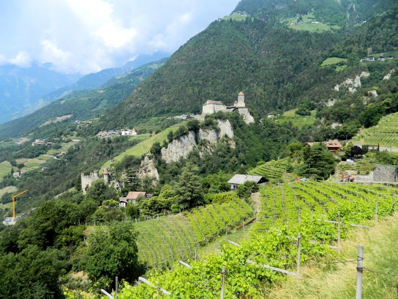 Schloss_Tirol_15.jpg