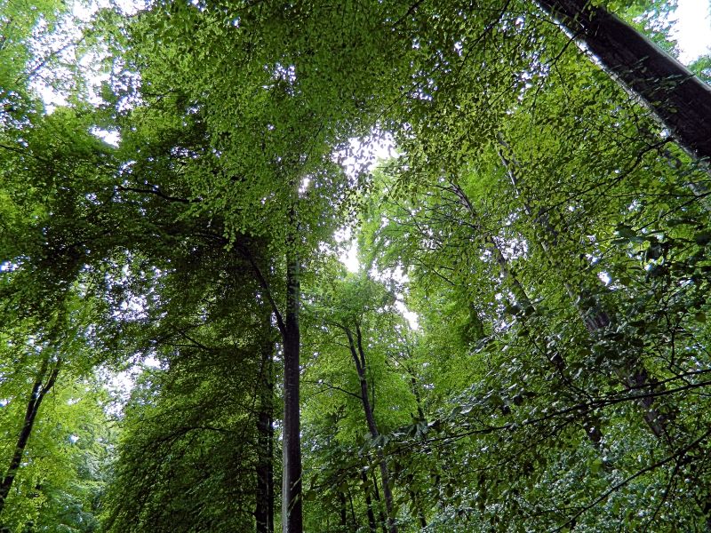 Maiwanderun_011.jpg