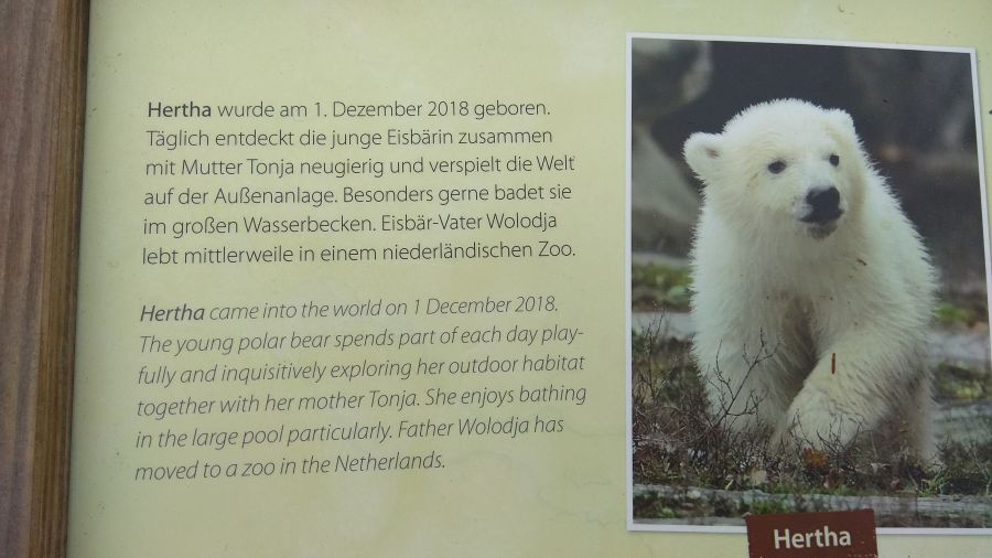 Berlin_2019__12.jpg