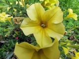 adlwang__08.jpg