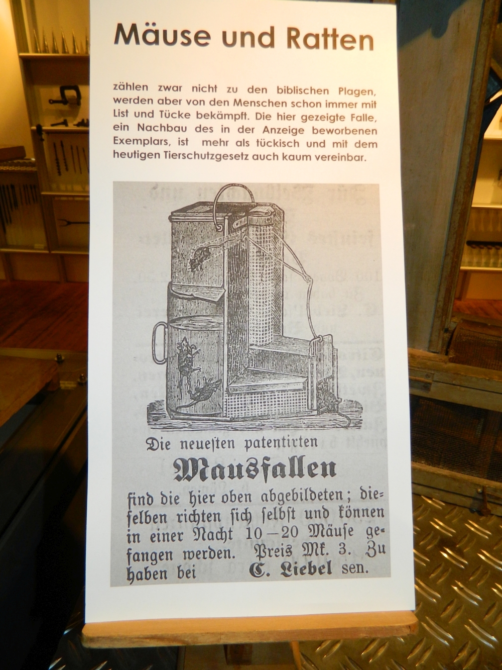 Aulendorf_14.jpg
