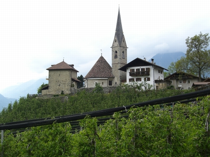 schenna_119.jpg