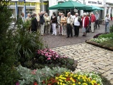 aalen_018.JPG