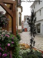 aalen_019.JPG