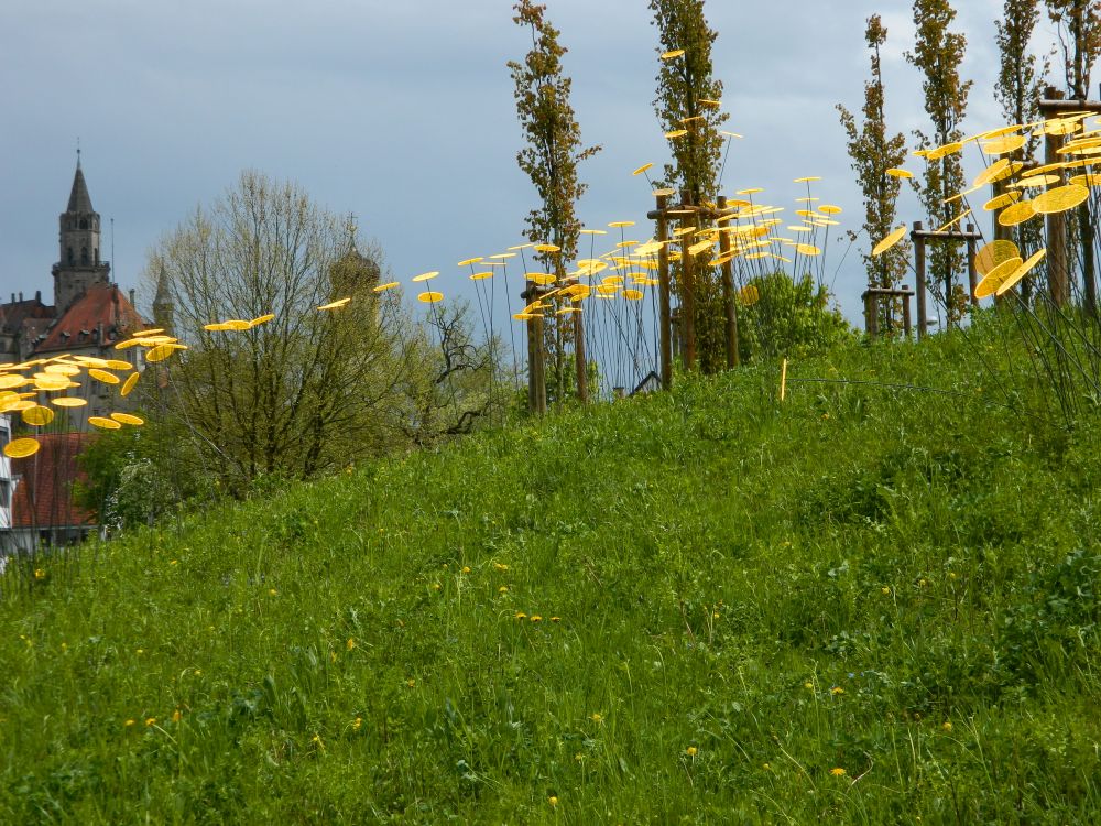 Sigmaringen_Mai_2013__15.jpg