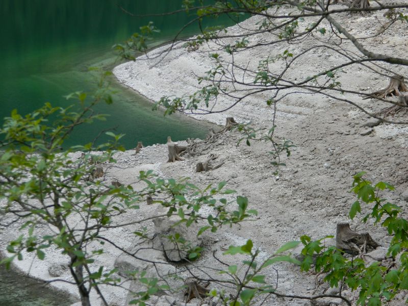 Gosausee_2014__18.jpg