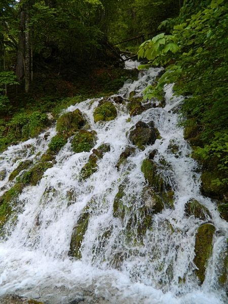 Gosausee_2014__19.jpg
