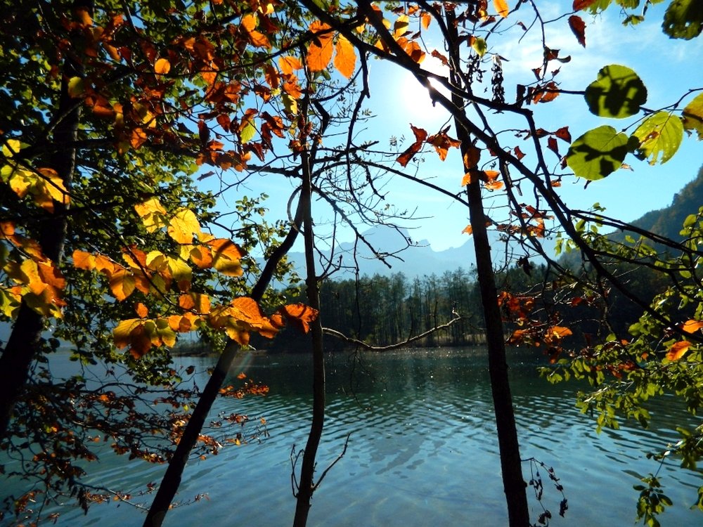 Gruenau_Almsee_42.jpg