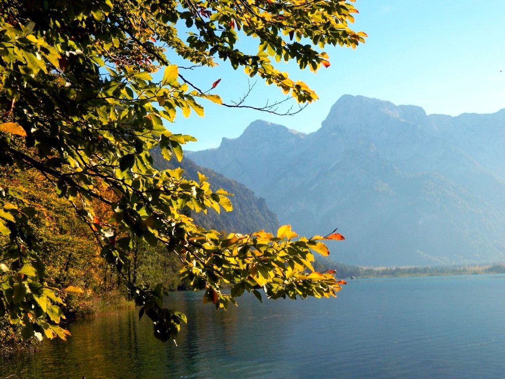 Gruenau_Almsee_47.jpg