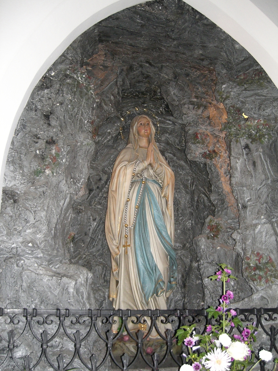 Wels_04.jpg
