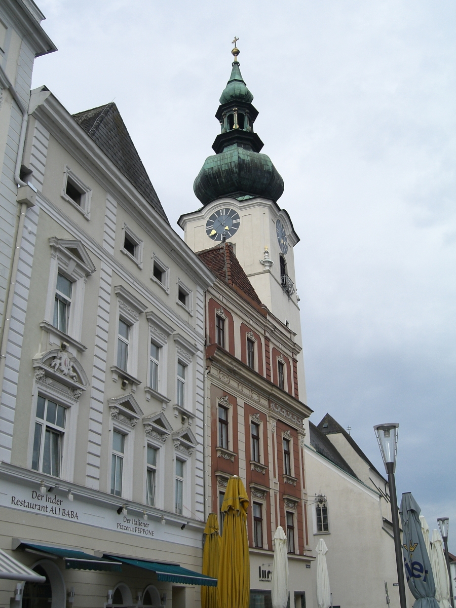 Wels_27.jpg