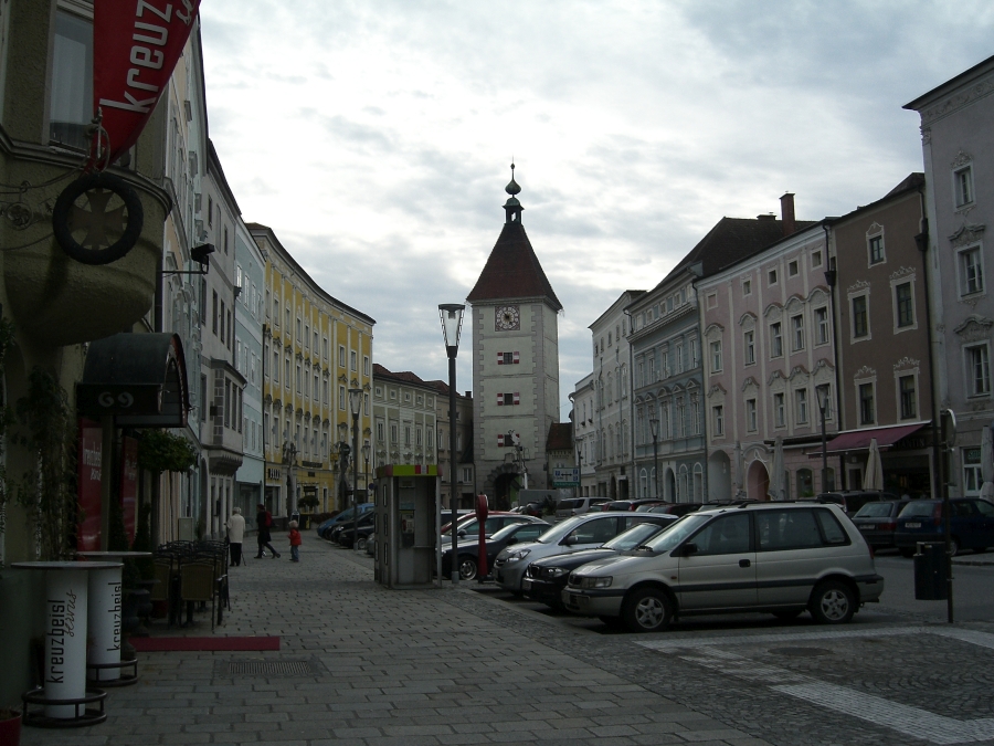 Wels_40.jpg