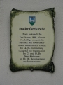 Wels_01.jpg