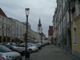 Wels_38.jpg