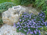 Chorherrenstift-Reichersberg__150.JPG