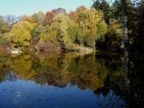Kreuzberweiher05.JPG